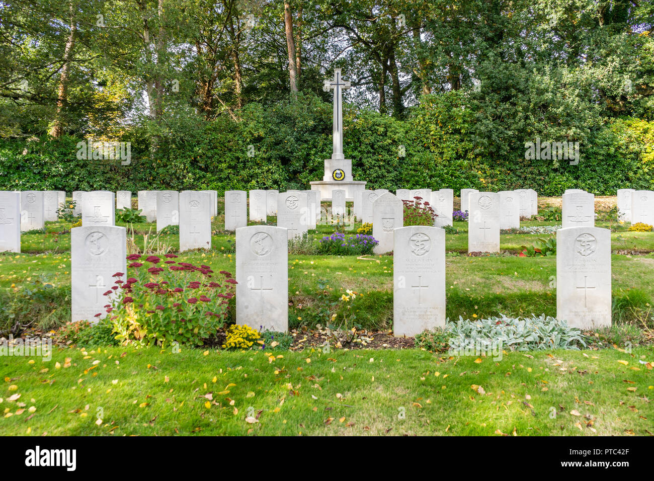 Rows of WW2 fallen soldiers graves and war memorial at Hollybrook Cemetery in Southampton, Hampshire, England, UK Stock Photo