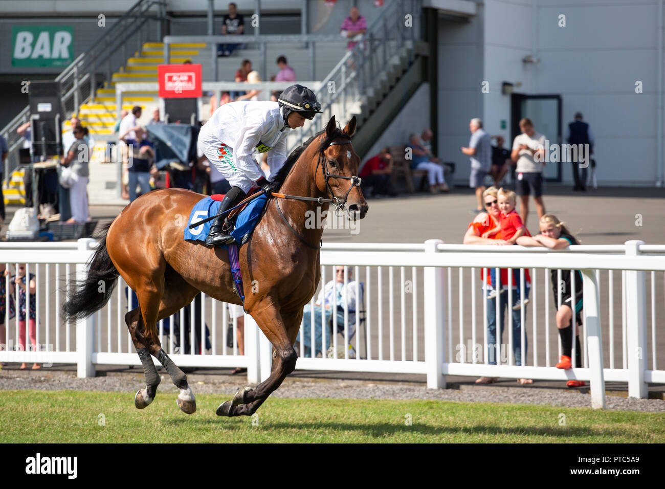 Racehorse Long John Silver, ridden by jockey Nicola Currie before a race at Ffos Las Stock Photo