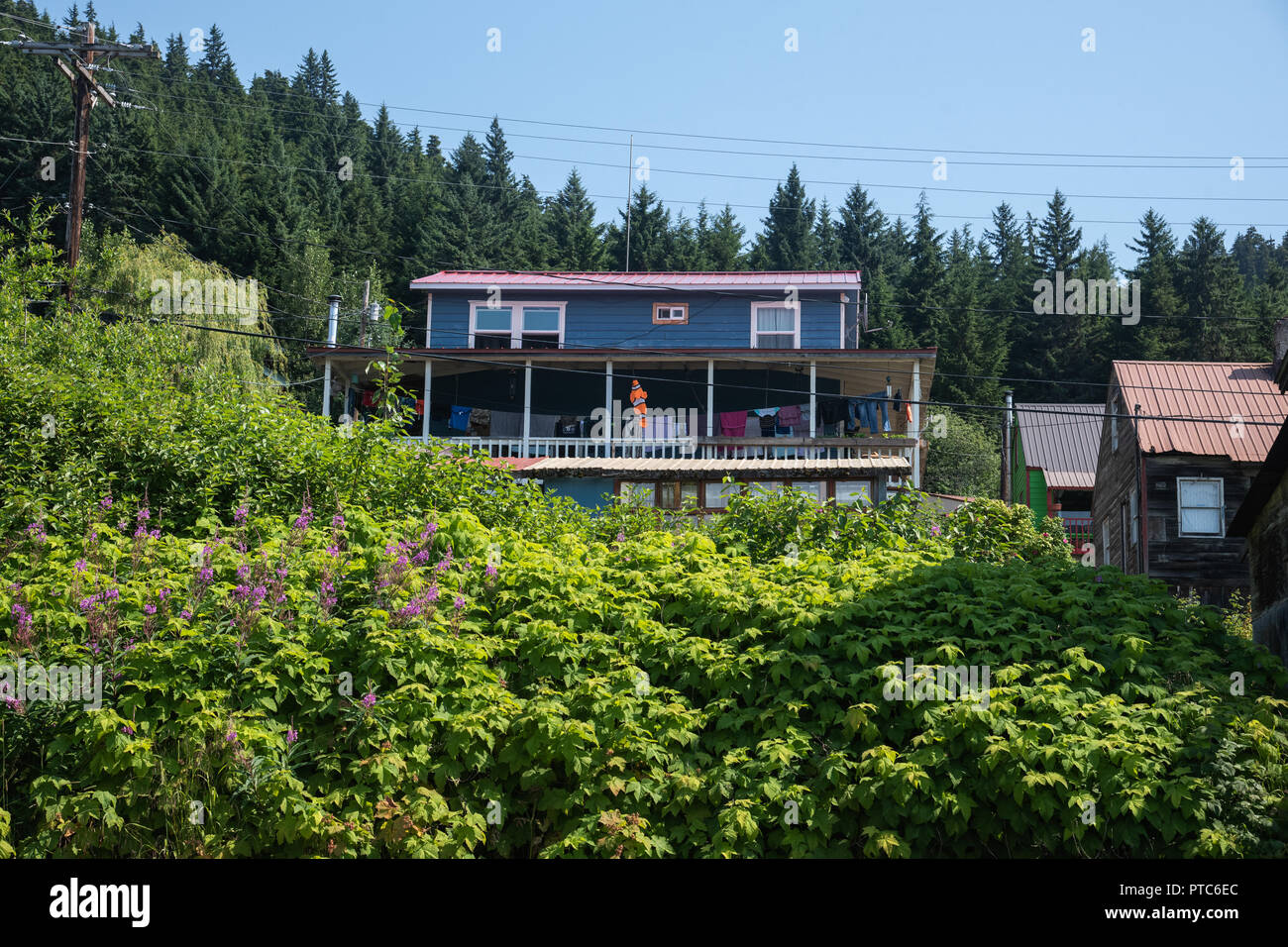 Wooden houses of Hoonah, Alaska, USA Stock Photo Alamy