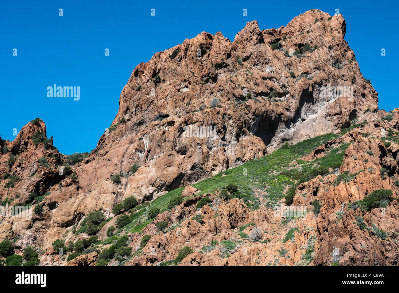 Corse, La réserve de Scandola, patrimoine mondial de Unesco, Parc naturel régional de Corse Stock Photo
