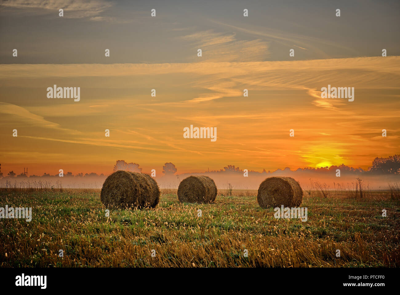 Sunset over field with hay bales Stock Photo - Alamy