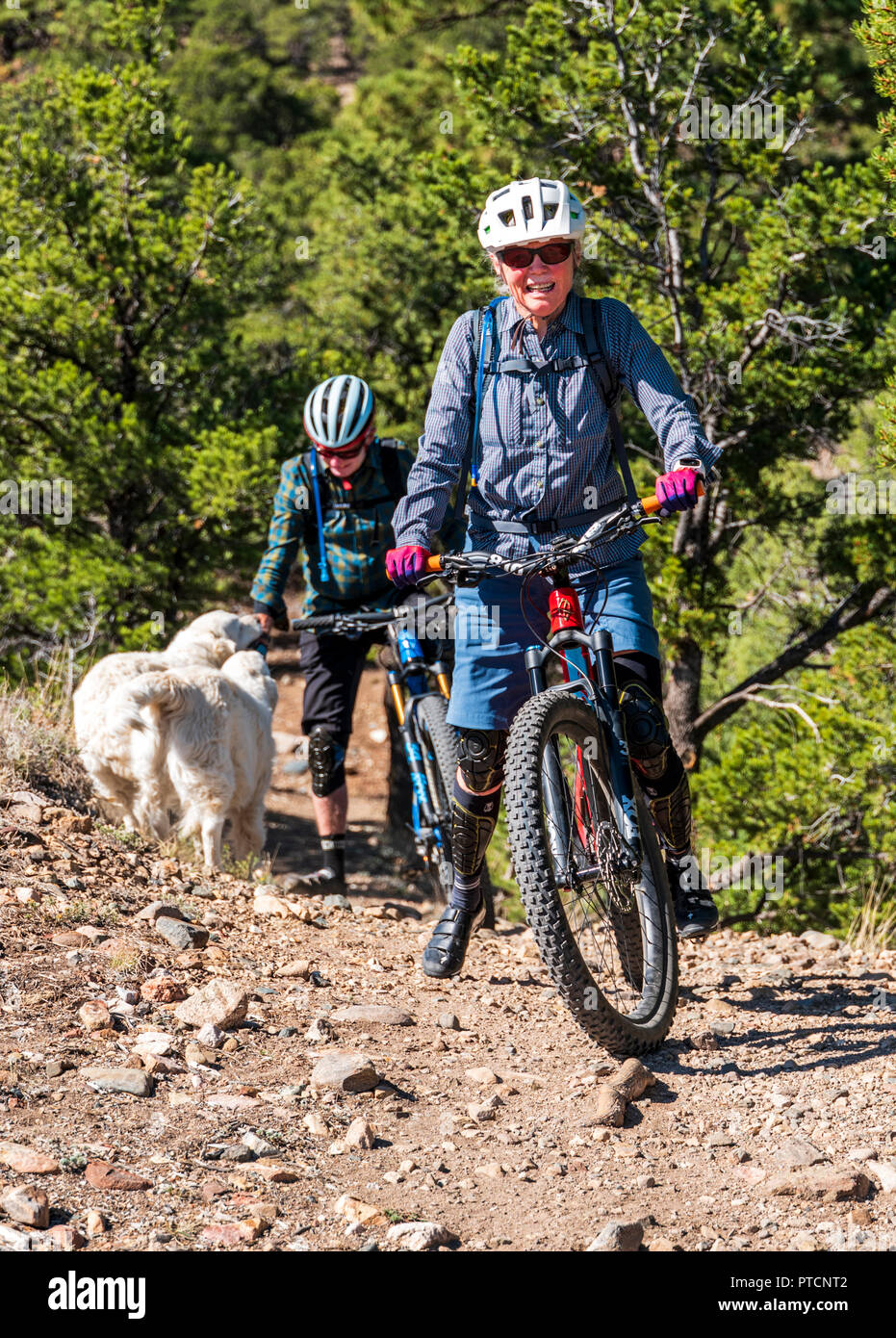 Senior couple with platinum colored Golden Retriever dogs; Little Rainbow Trail; central Colorado; USA Stock Photo