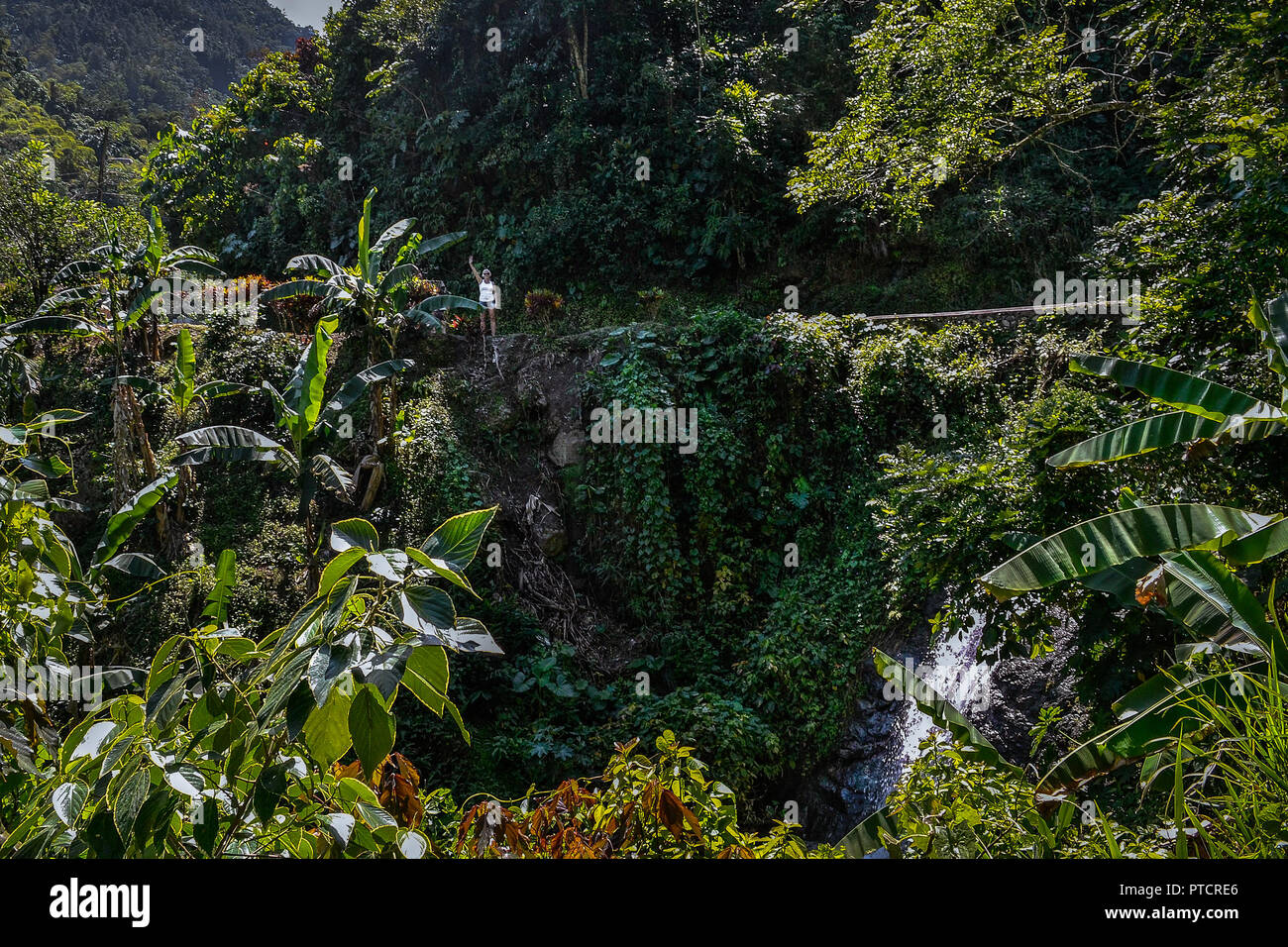 Jana of the jungle hi-res stock photography and images - Alamy