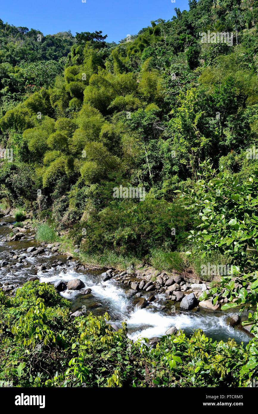 Landscape and wallpaper jamaica hi-res stock photography and images - Alamy, image size:866x1390