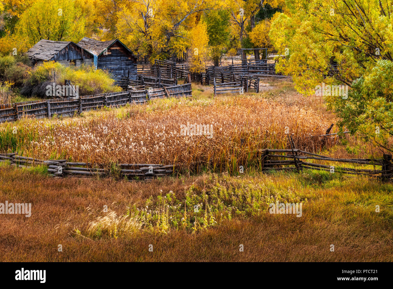 Autumn view; lush pasture; old ranch buildings; along the Arkansas River; Central Colorado; USA Stock Photo