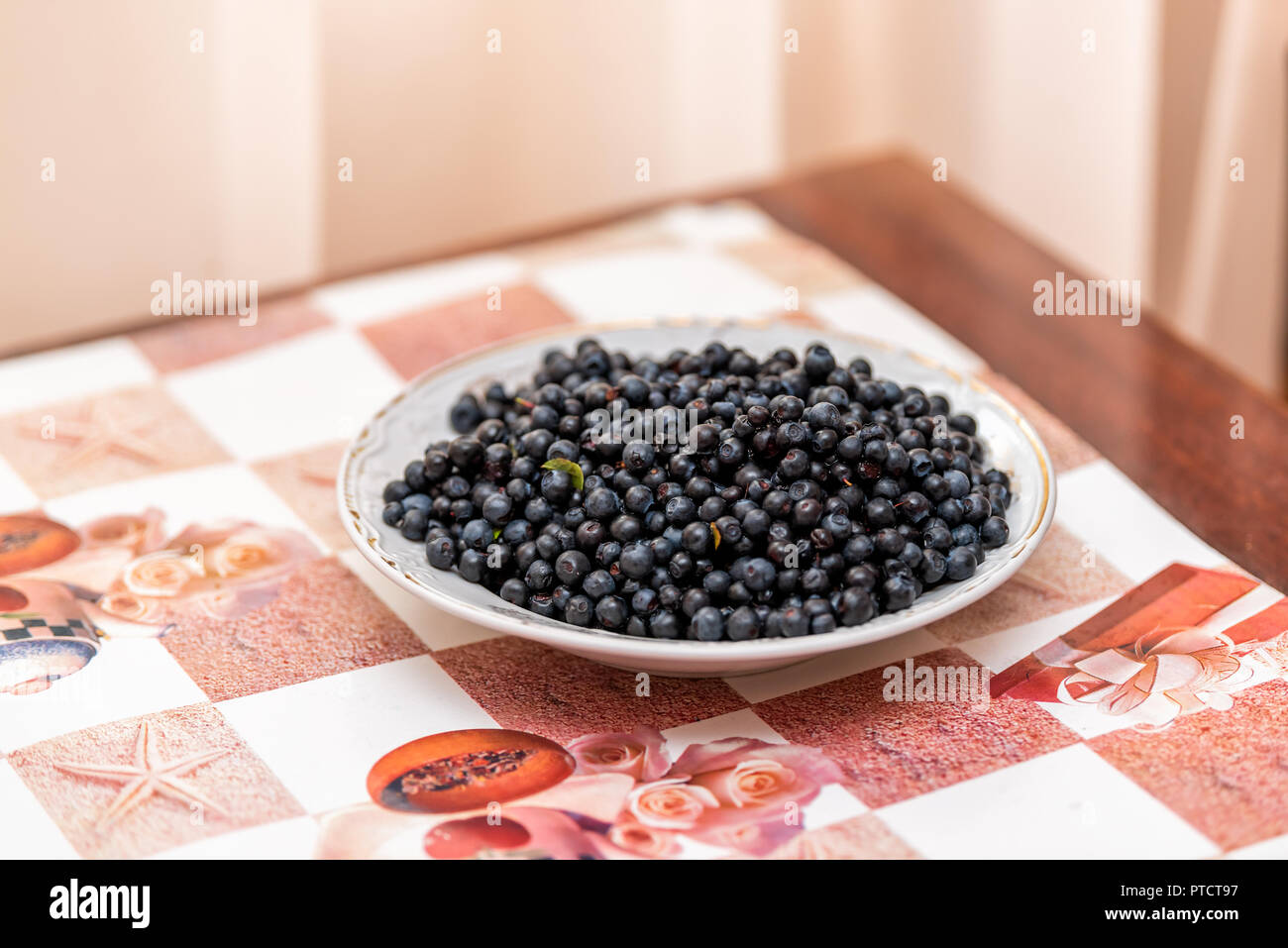 Closeup plate of wild, organic blueberries or bilberries berries on rustic farm house cottage table in Ukraine or Russia, nobody during summer, green  Stock Photo