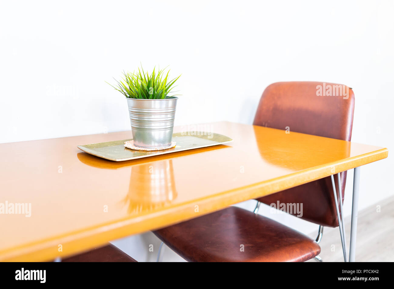Green plant in small metal stainless steel modern flowerpot on wooden table, chairs in minimalist staged model house interior with bright light Stock Photo