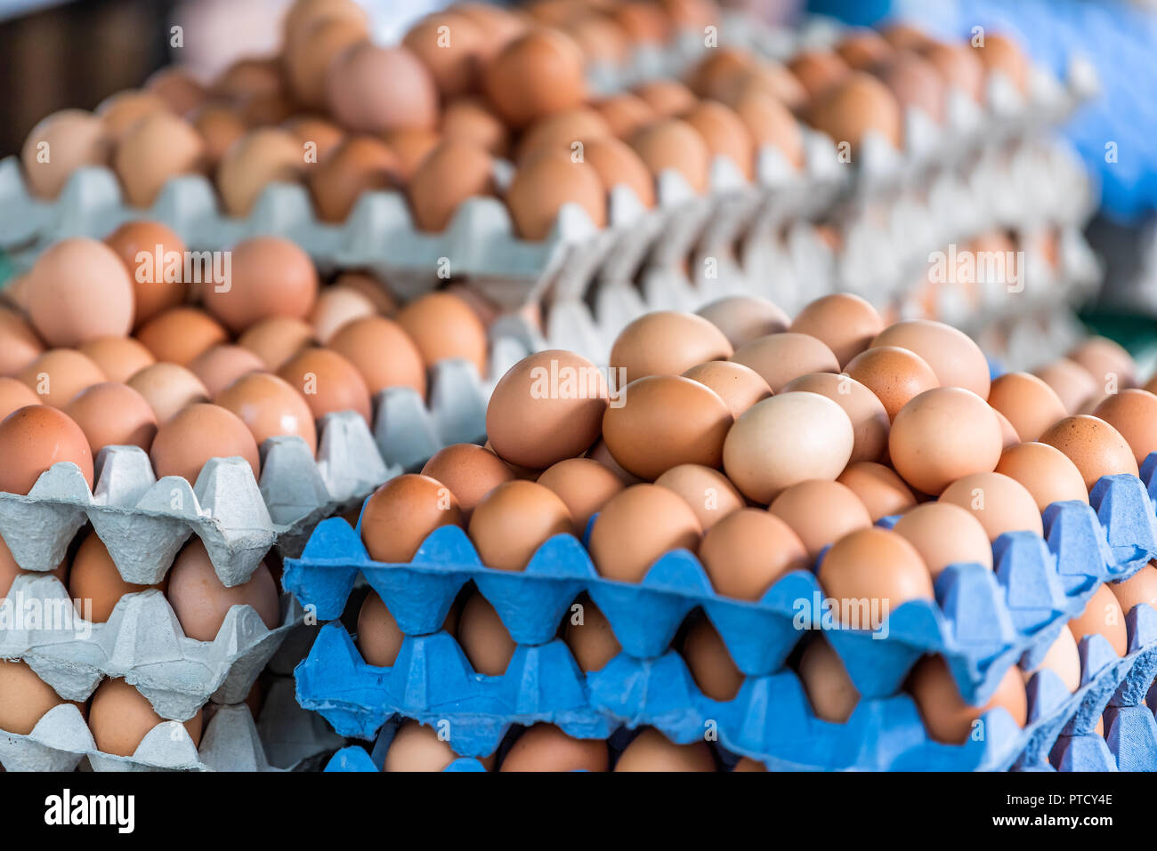 Closeup of many trays of farm fresh brown and white multicolored eggs on display in farmer's market in London, UK Stock Photo