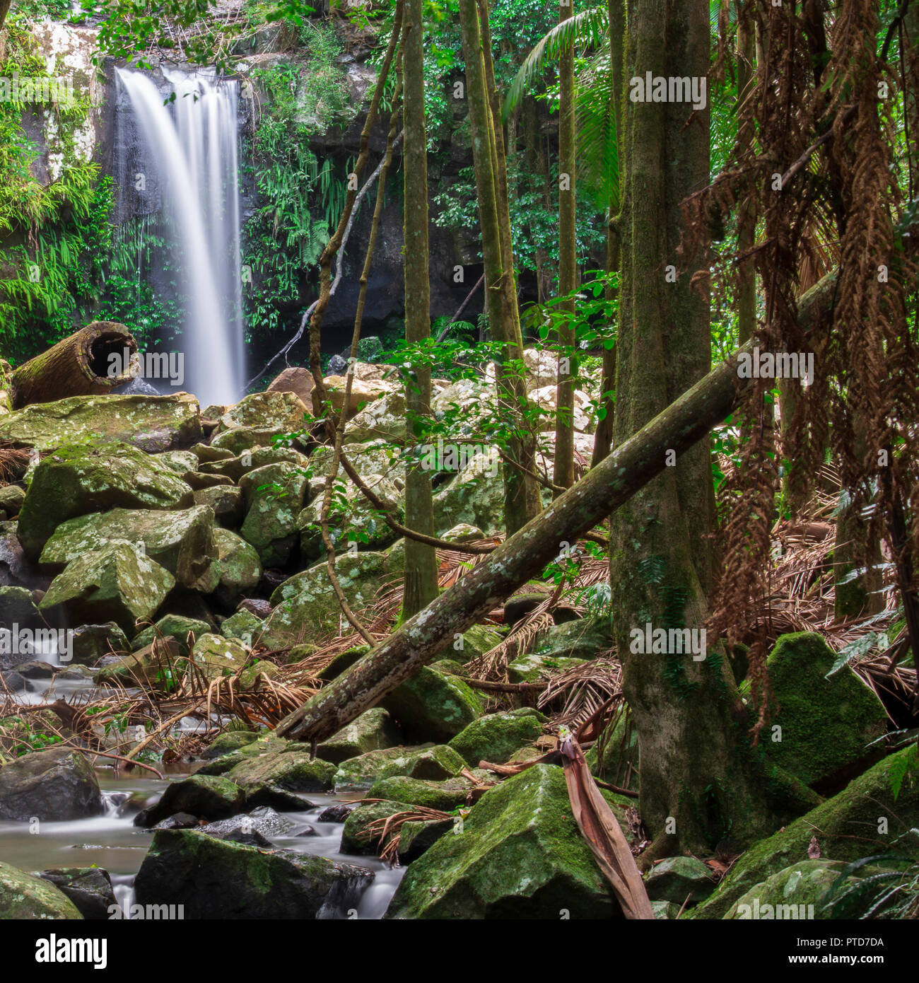 Curtis Falls located in Mount Tamborine during the day Stock Photo Alamy