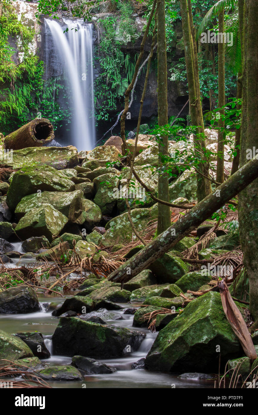 Curtis Falls located in Mount Tamborine during the day Stock Photo Alamy