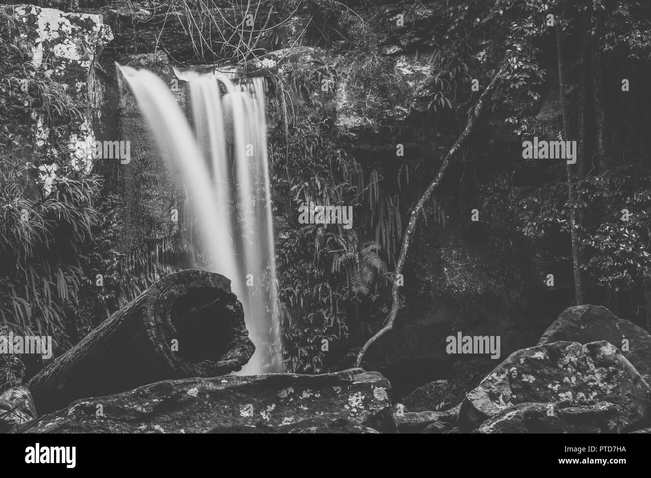 Mount tamborine Black and White Stock Photos & Images Alamy
