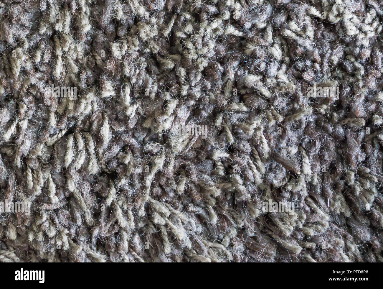 grey brown wool floor carpet close up macro background texture Stock Photo