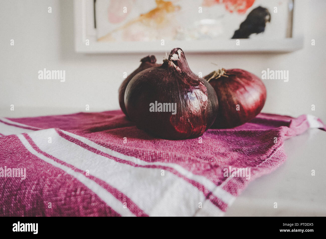 Beautiful organic purple onions in artistic gourmet kitchen on purple dish towel with natural light and abstract art with room for copy Stock Photo