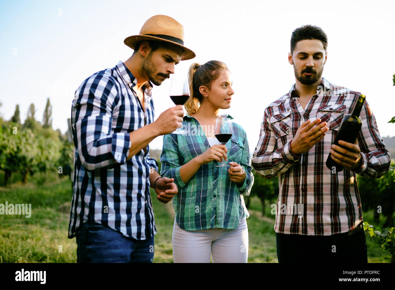 Wine tourists tasting wine in vineyard nature Stock Photo - Alamy