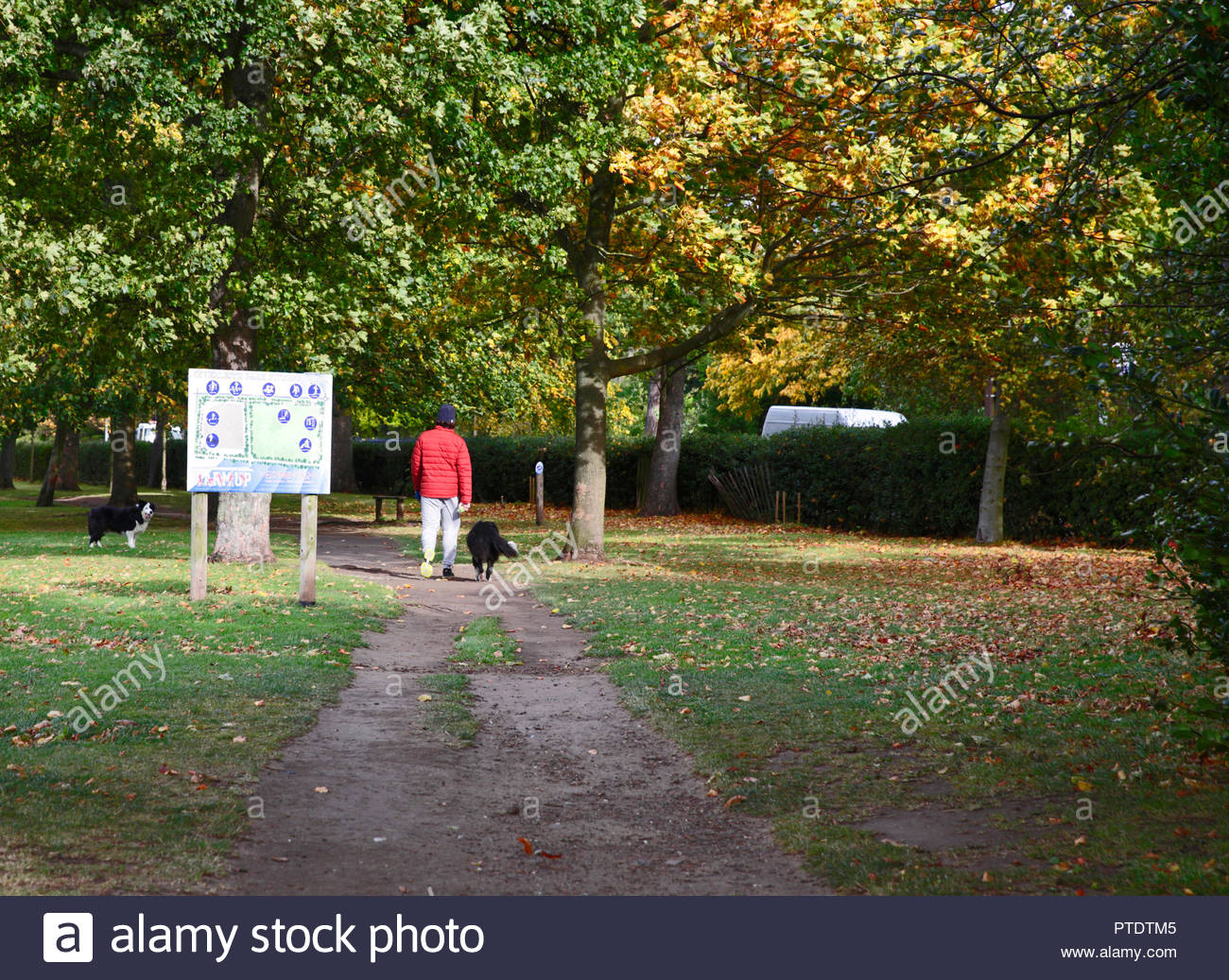 Edinburgh dog inverleith park hires stock photography and images Alamy