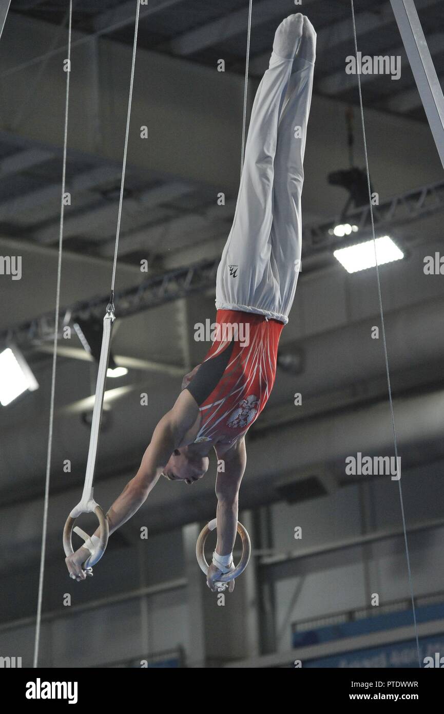 Buenos Aires, Buenos Aires, Argentina. 8th Oct, 2018. SERGEI NAIDIN of Russia competes during the Men's Rings Qualification on Day 2 of the Buenos Aires 2018 Youth Olympic Games at the Olympic Park. Credit: Patricio Murphy/ZUMA Wire/Alamy Live News Stock Photo
