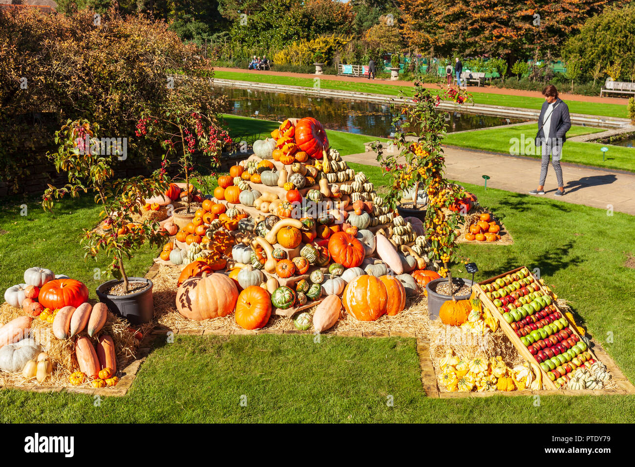 RHS Wisley Gardens, Surrey, England, UK. 9th October 2018. Wisley puts on a magnificent harvest display of Pumpkins and Squashes, in glorious warm sunshine. Credit: Tony Watson/Alamy Live News Stock Photo