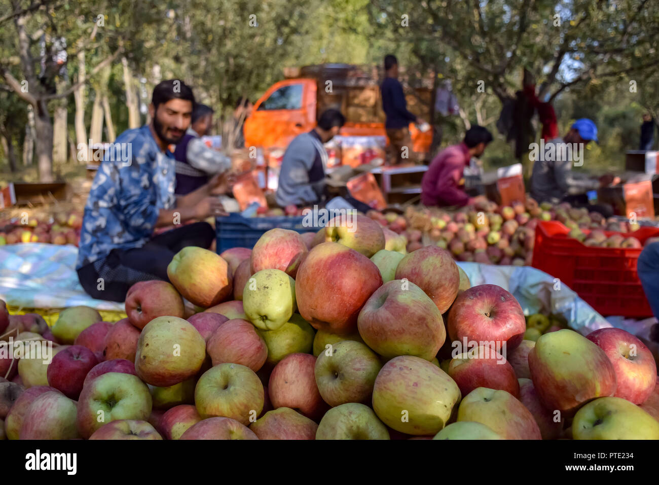 Slowly changing leaves hires stock photography and images Alamy