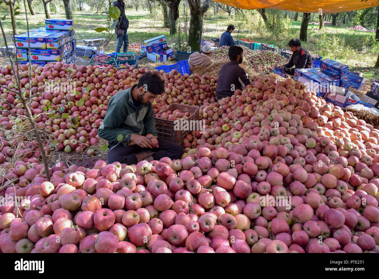 October 9, 2018 Srinagar, Jammu & Kashmir, India Kashmiri labourers