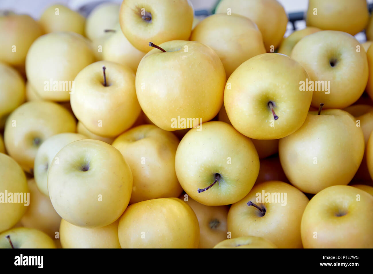 Pile of yellow apples on the market in Almaty, Kazakhstan Stock Photo