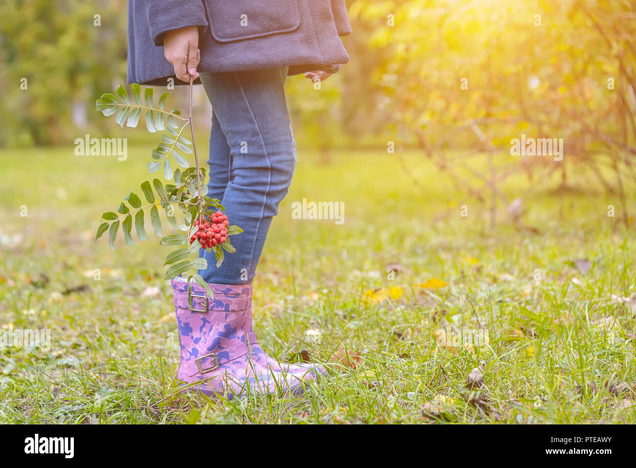 children's feet in rubber boots on yellowed dry grass in autumn Stock ...