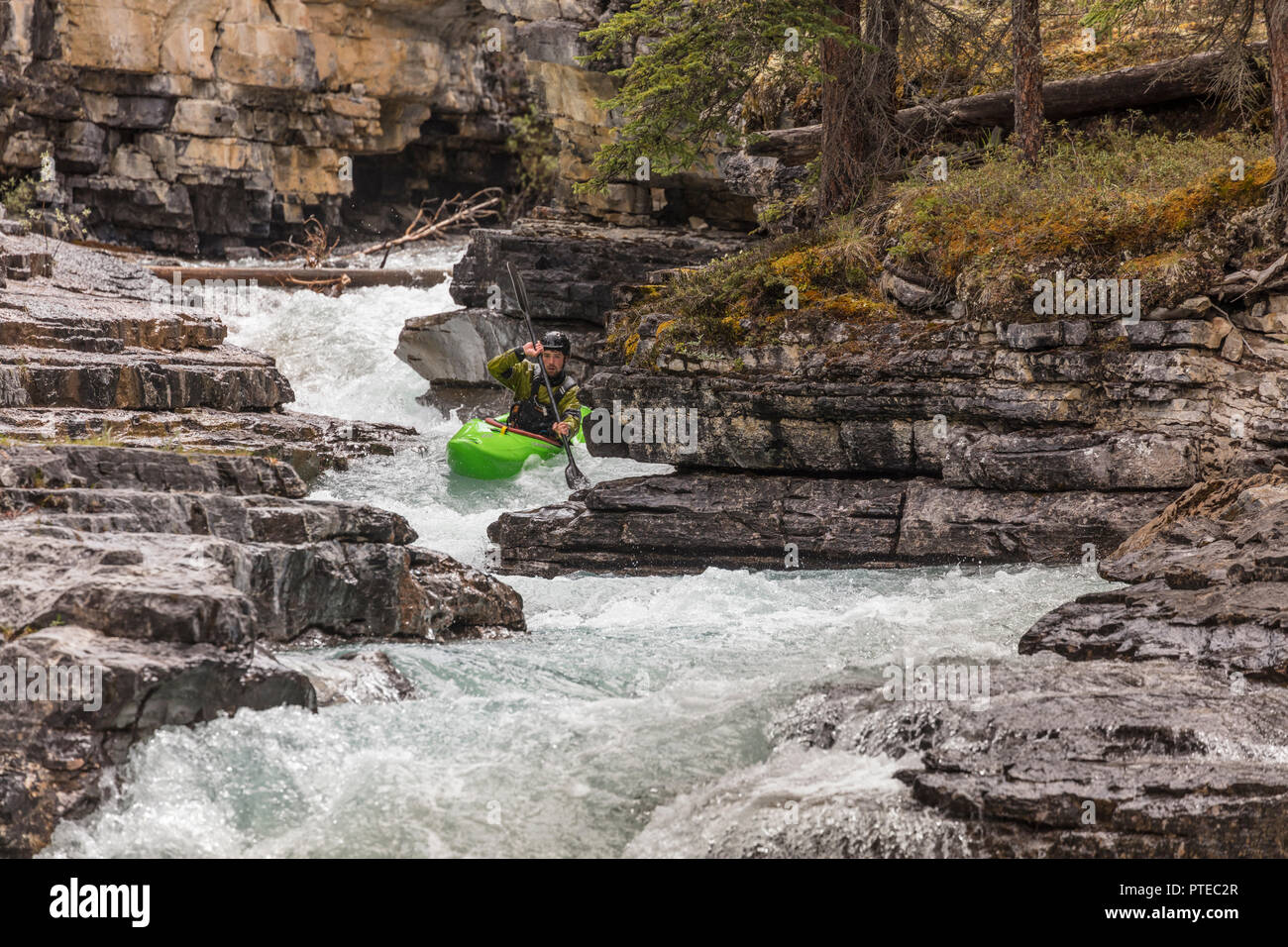 Kayaker negotiating rapids on Beauty Creek in Jasper National Park, Canada. Stock Photo