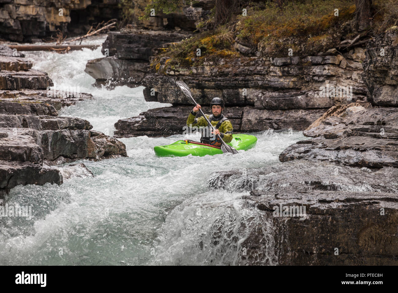 Kayaker negotiating rapids on Beauty Creek in Jasper National Park, Canada. Stock Photo