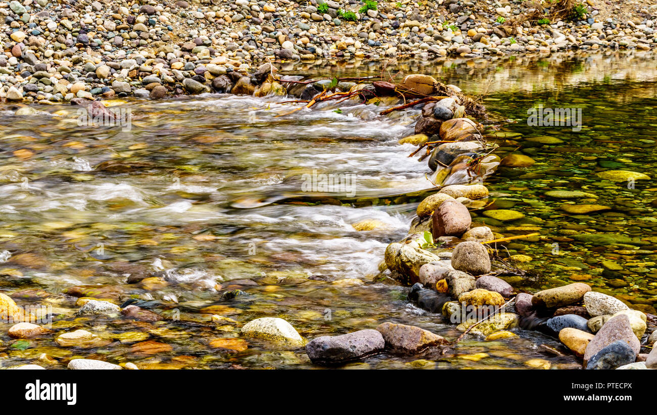 Because of the low water levels in early September the Coldwater River Salmon Habitat is protected from fishing near Brookmere in BC Canada Stock Photo