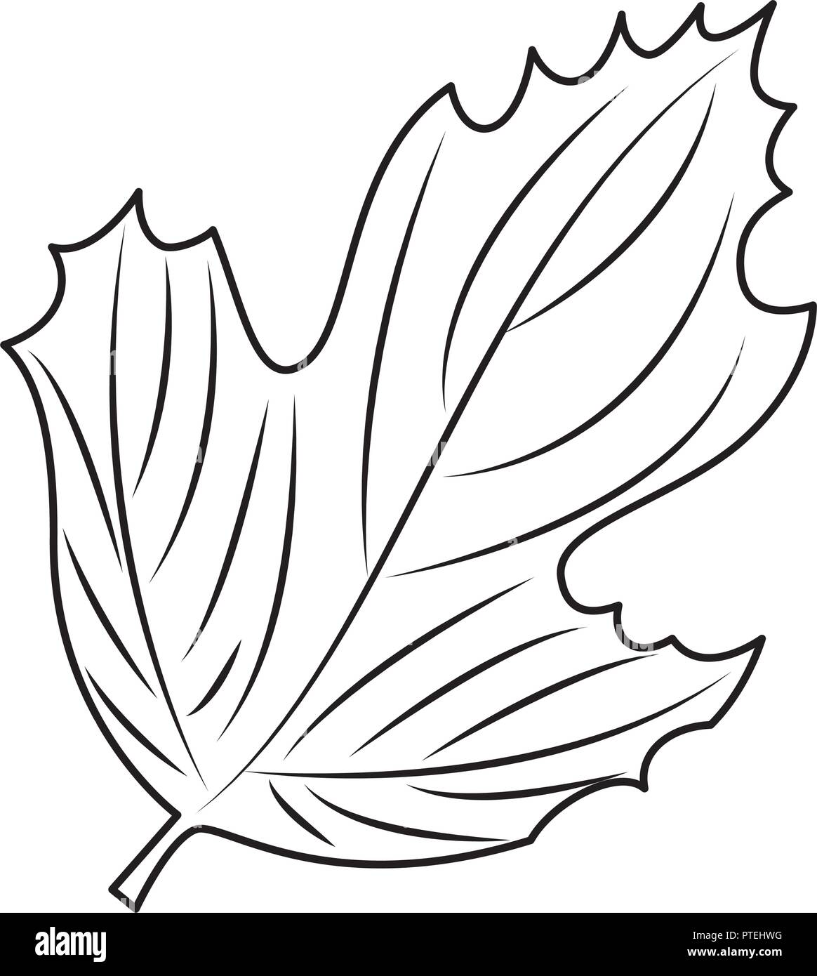 autumn leaf seasonal icon Stock Vector Image & Art - Alamy