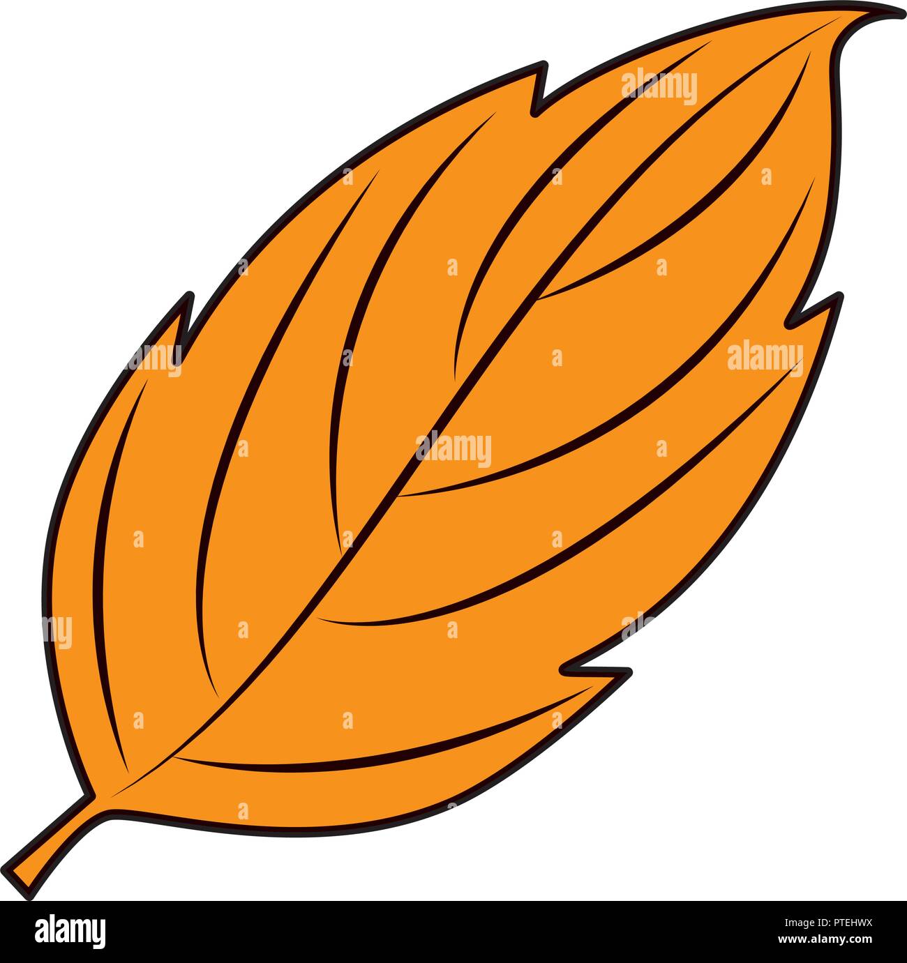 autumn leaf seasonal icon Stock Vector Image & Art - Alamy