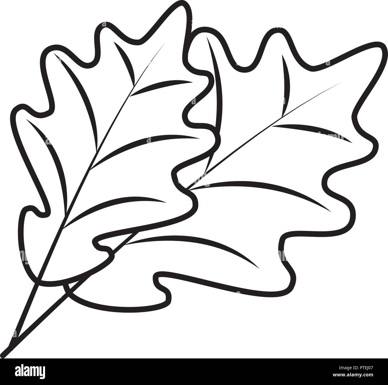 autumn leaf seasonal icon Stock Vector Image & Art - Alamy