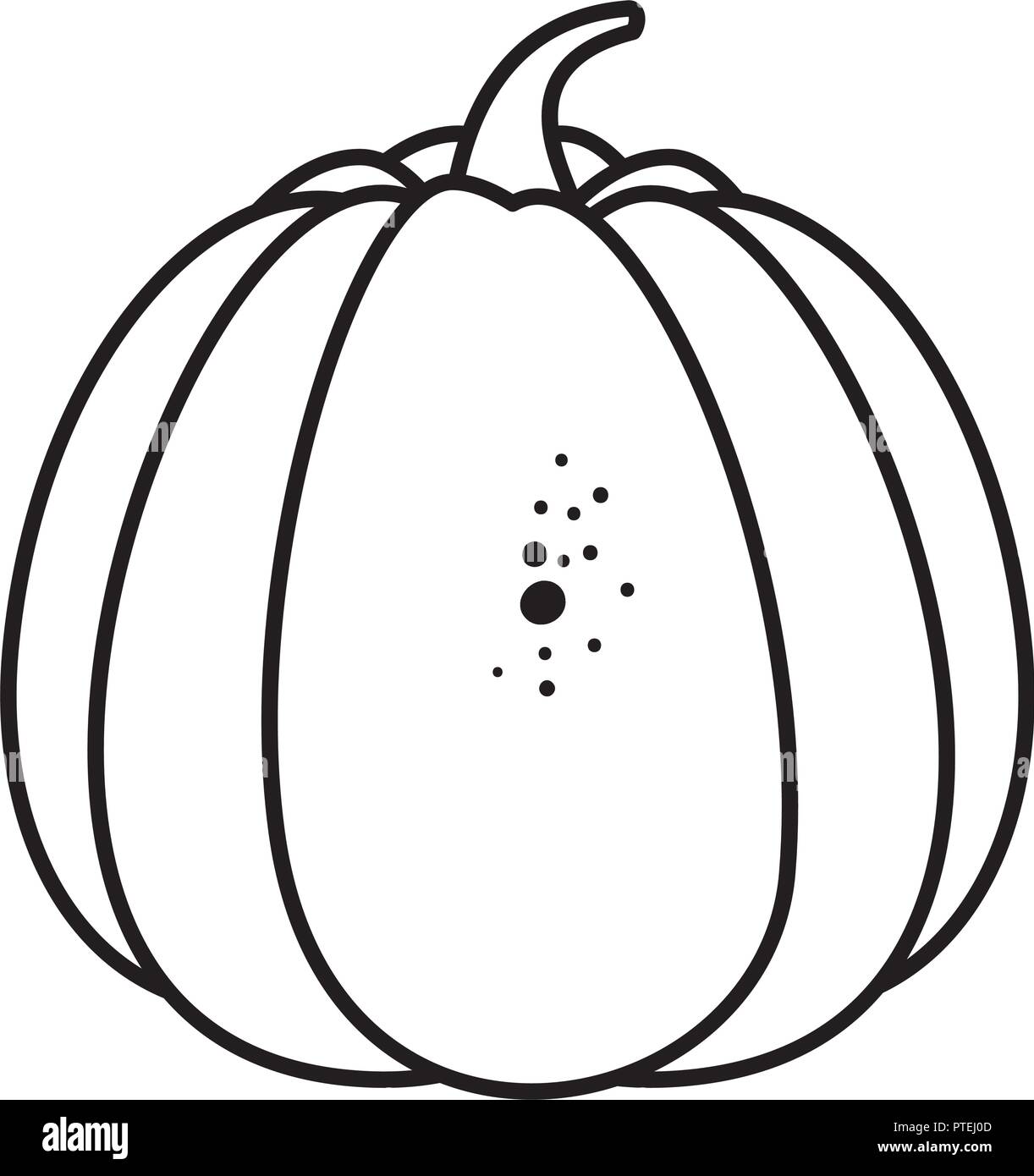 Growing pumpkin Black and White Stock Photos & Images - Alamy