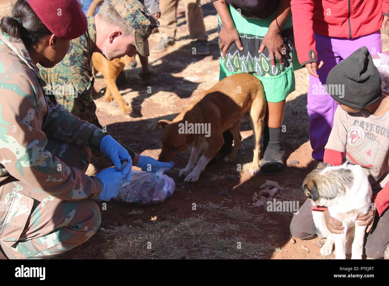 LCpl. Daniel Temple, 3rd Battalion, 25th Marines provides food for a dog while locals wait for free veterinary care during Mandela Day as part of Exercise Shared Accord 17 (SA17) in Postmasburg, South Africa, July 18, 2017. Mandela Day commemorates the lifetime of service Nelson Mandela gave to South Africa and the world, taking place every year on his birthday, with this years theme being, “action against poverty.” Stock Photo