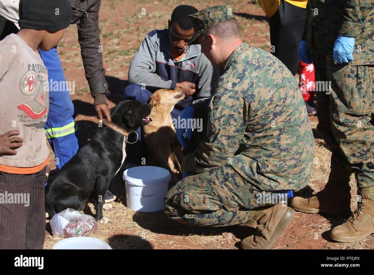 Sgt. Alex Vanlieshout, 3rd Battalion, 25th Marines provides water for dogs while locals wait for free veterinary care during Mandela Day as part of Exercise Shared Accord 17 (SA17) in Postmasburg, South Africa, July 18, 2017. Mandela Day commemorates the lifetime of service Nelson Mandela gave to South Africa and the world, taking place every year on his birthday, with this years theme being, “action against poverty.” Stock Photo