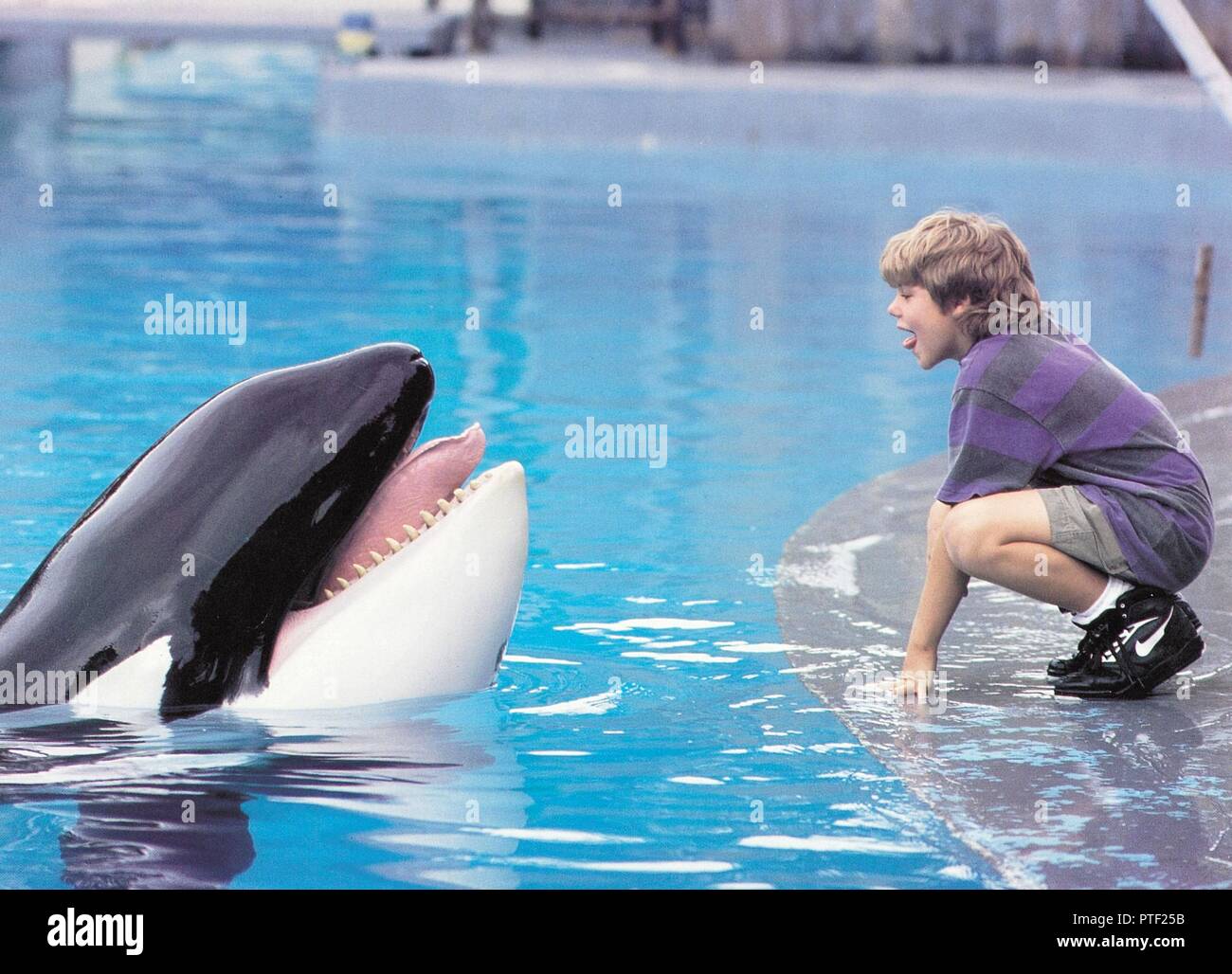 Original film title: FREE WILLY. English title: FREE WILLY. Year: 1993. Director: SIMON WINCER. Stars: JASON JAMES RICHTER. Credit: WARNER BROTHERS / Album Stock Photo