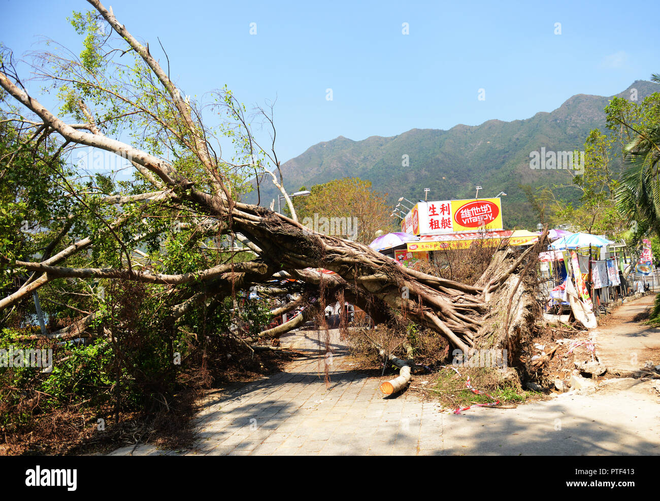 Typhoon damage hi-res stock photography and images - Alamy