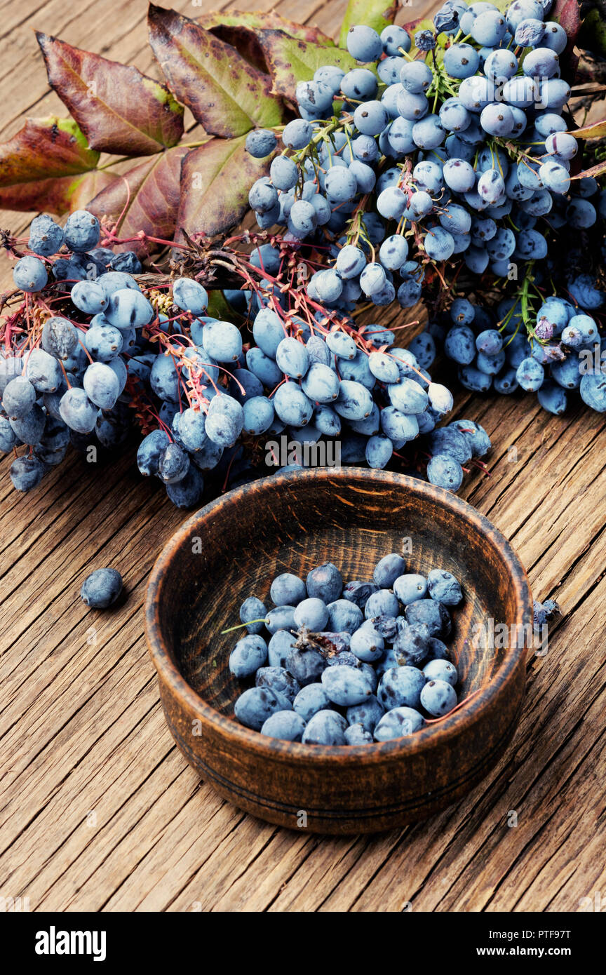 Healing fresh berries in herbal medicine.Health diet.Herbalism Stock Photo