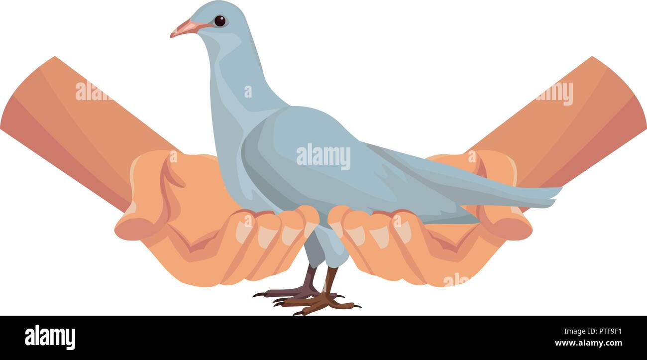 Hands holding dove Stock Vector