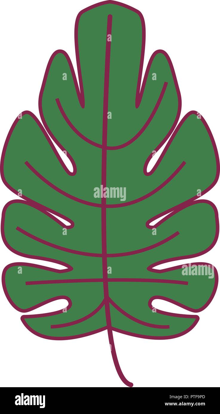 Leaf nature symbol Stock Vector Image & Art - Alamy