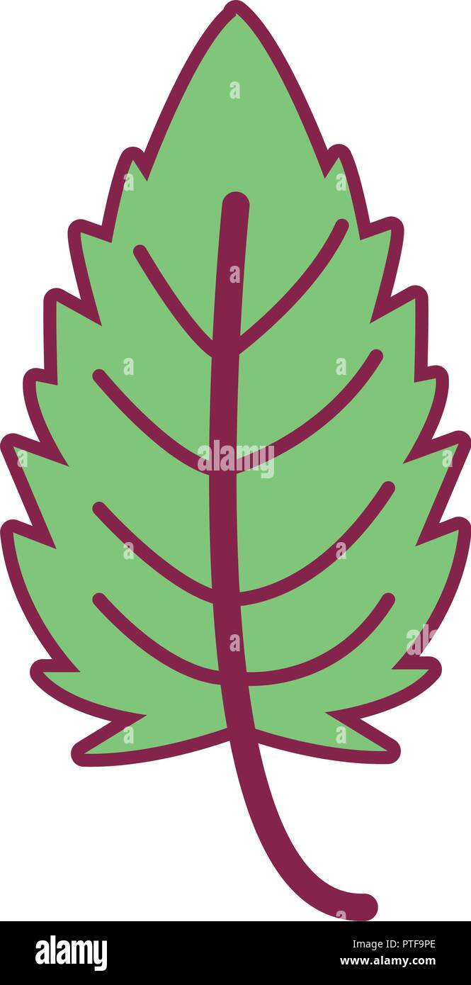 Leaf nature symbol Stock Vector Image & Art - Alamy