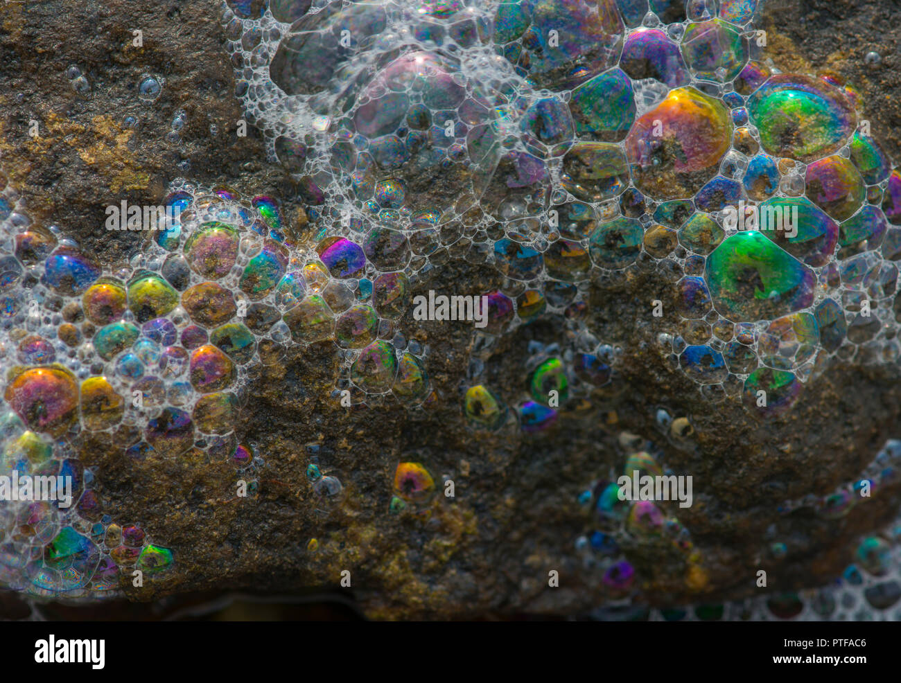 Bubbles, Sweden, west ocean coast Stock Photo Alamy