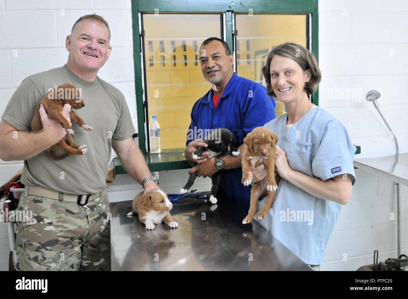 Vet tech agriculture hires stock photography and images Alamy