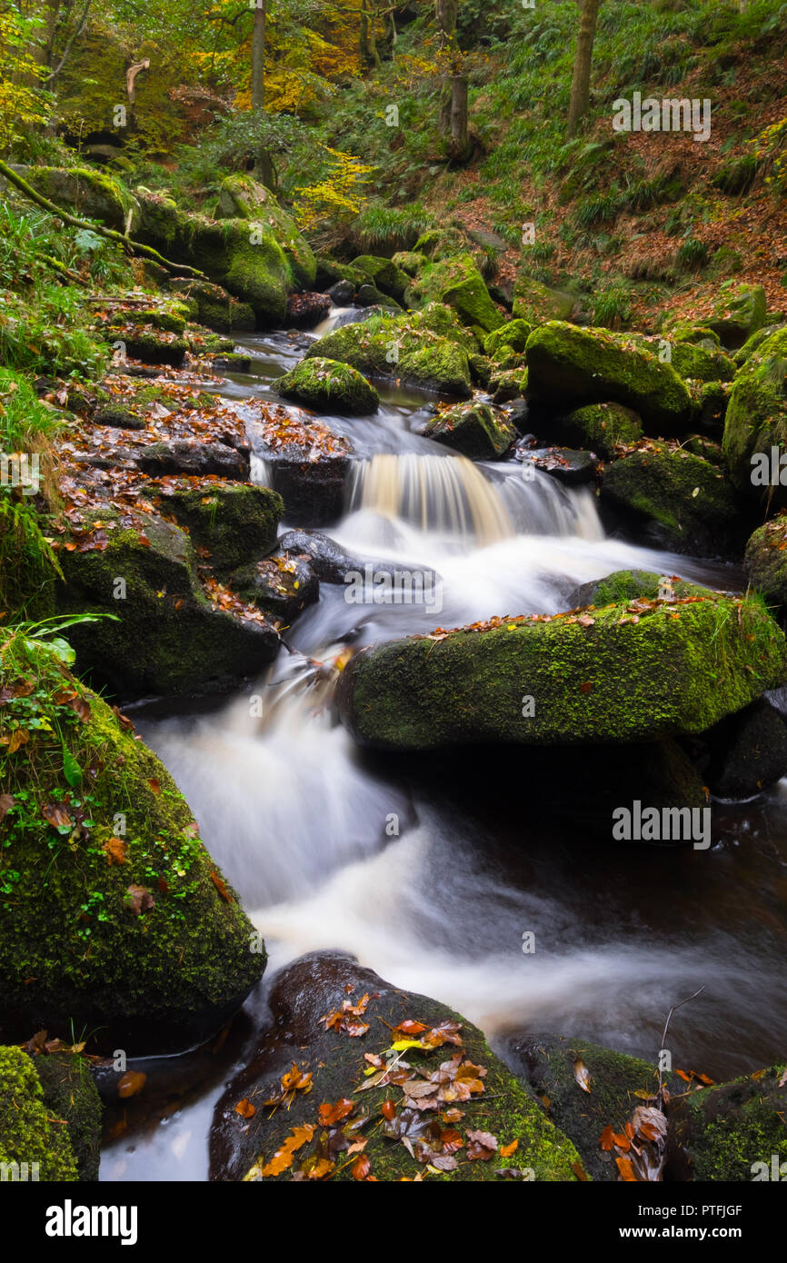 Burbage Brook in Padley Gorge, autumn Stock Photo