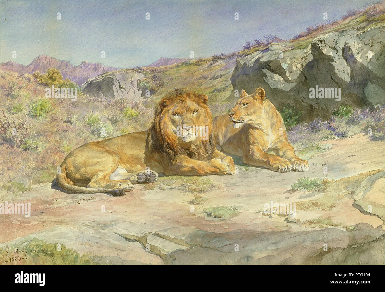 By Rosa Bonheur High Resolution Stock Photography And Images Page 2 Alamy