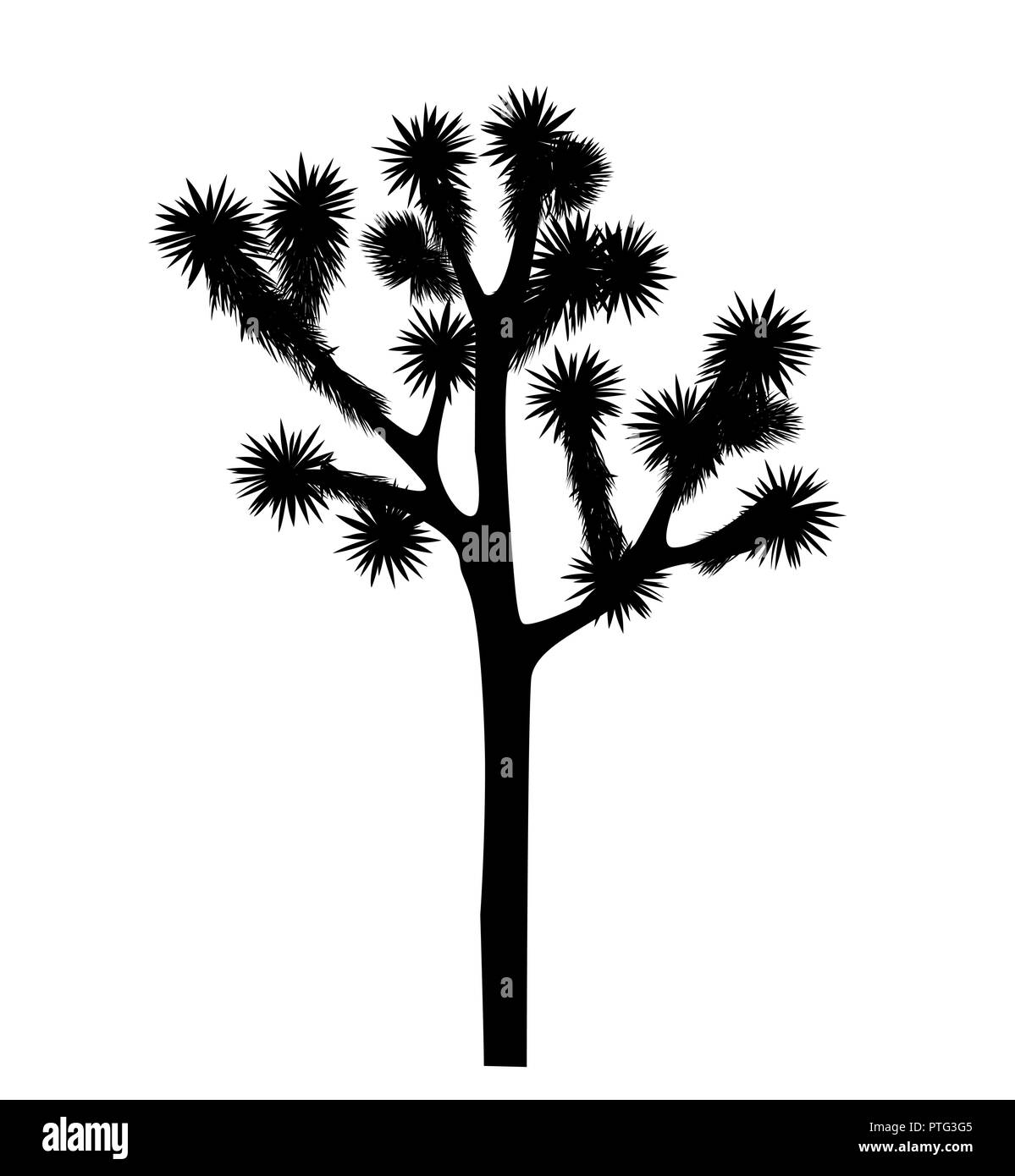 Joshua tree vector isolated on white background. Desigh element with Yucca brevifolia black silhouette. Stock Vector