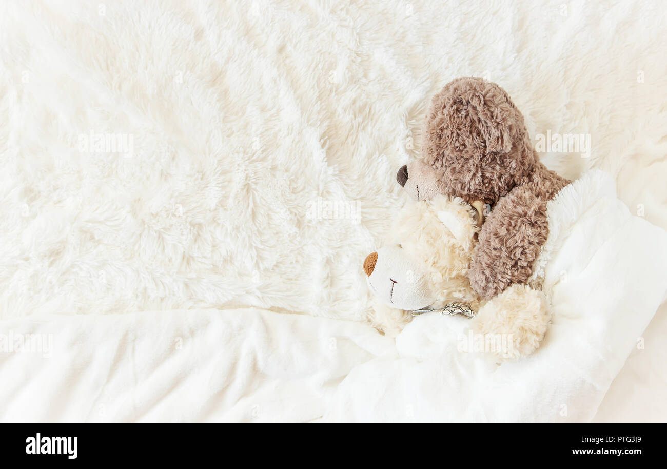 Спать игрушки одеяло. Белая обезьянка под одеялом. Тарелка со спящим плюшевым медведем под одеялом. Мишка с подружкой под одеялом.