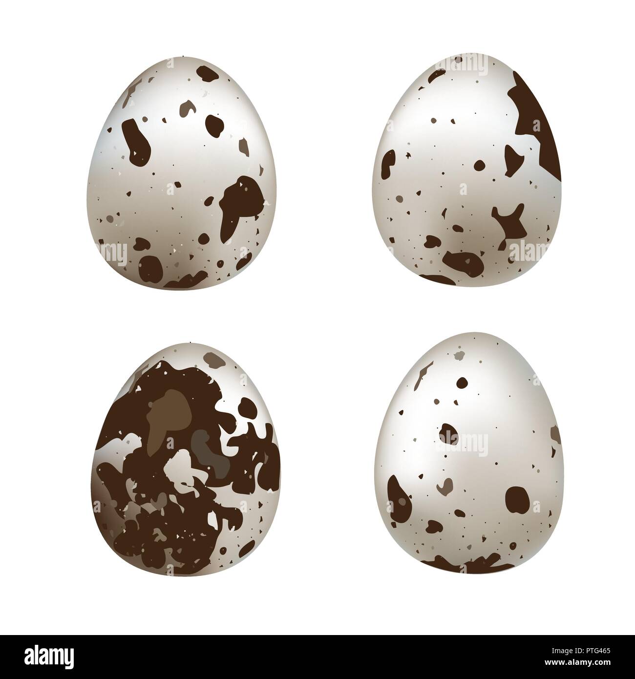 Quail eggs isolated on white background. Vector set illustrtion Stock Vector