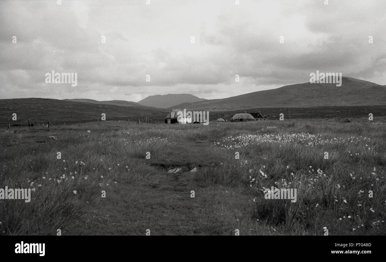 1950s, historical, two small isolated crofters cottages sit on the edge of a grassy field in a treeless valley on the Outer Hebrides, Western Isles, Scotland, UK. Stock Photo