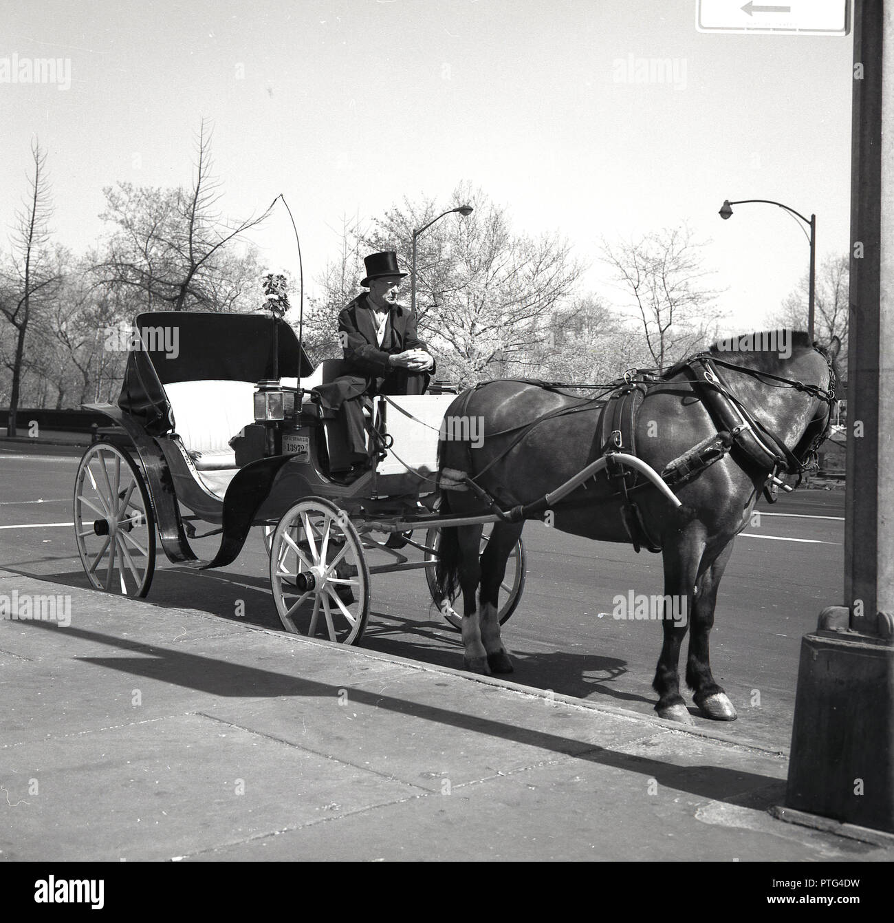 1960s, historical, open-top horse and carriage with driver in formal dress and top hat, awaiting customers by central park, New York, NYC, USA. Stock Photo