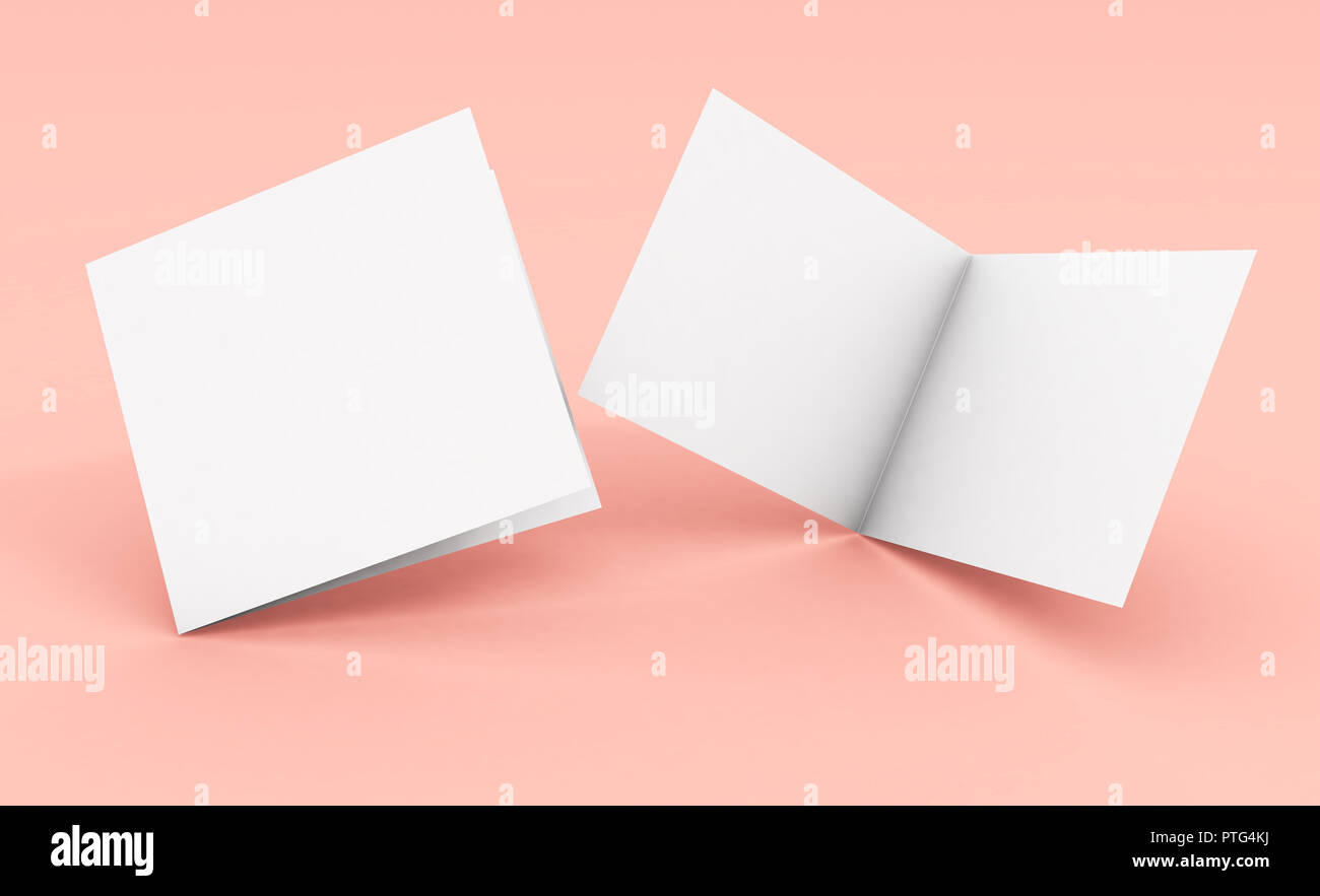 blank square bifold brochure on pink background 3d rendering Stock Photo